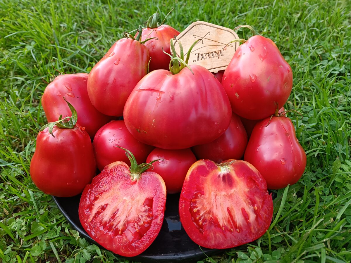 Zemeņtomāts (10 tomātu sēklas) 